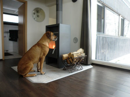 Hond voor de houtkachel in ons vakantiehuis