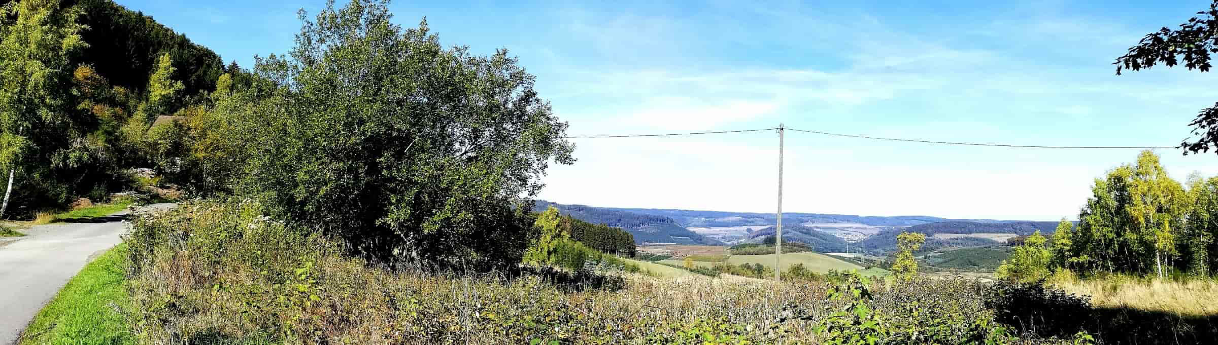 Vakantiehuis Sauerland met sauna en houtkachel GASTENBOEK