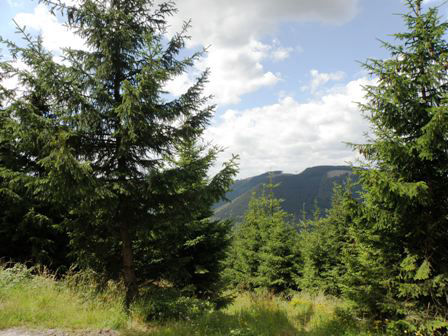 Uitzicht in de omgeving van de vakantiewoning in de buurt van Winterberg