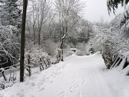 Het huis in de sneeuw