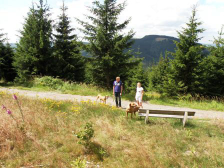 Lekker wandelen met de hond in Sauerland