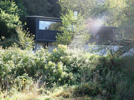 Vooraanzicht in de zomer van ons vakantiehuis in Sauerland met sauna