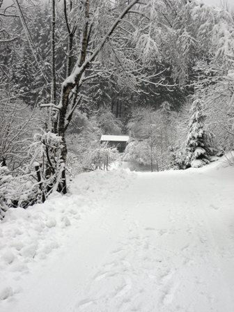 Vooraanzicht in de winter van ons vakantiehuis in Sauerland met sauna