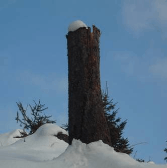 Wandeling door de heuvels in Sauerland