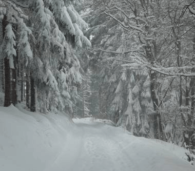 Wandeling in de sneeuw